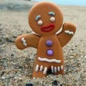 Meet your Posher, Ginger